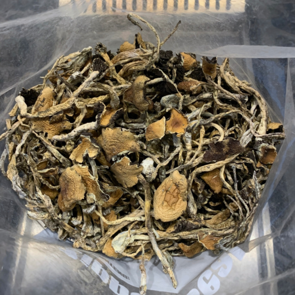 Cambodian Mushrooms - Image 2